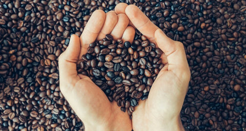 What Are The Best Coffee Beans to Try?